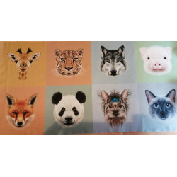 Animaux d'ici et là coton...