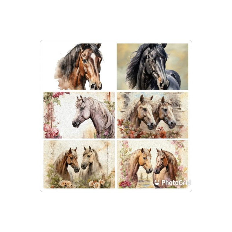 LOT DE 6 PANNEAUX ESSUIE TOUT 25X25 cm CHEVAUX