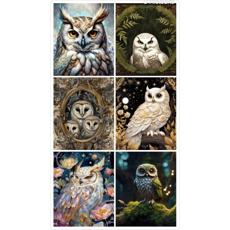 LOT DE 6 PANNEAUX MICROFIBRE 12x12 cm CHOUETTES ET HIBOUX