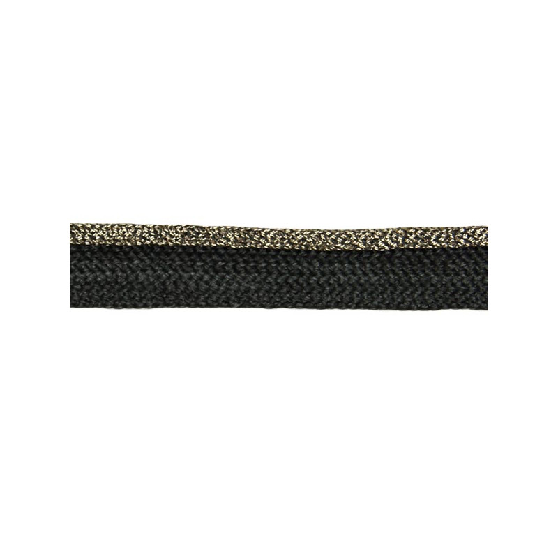 PASSEPOIL noir or lurex 10 mm